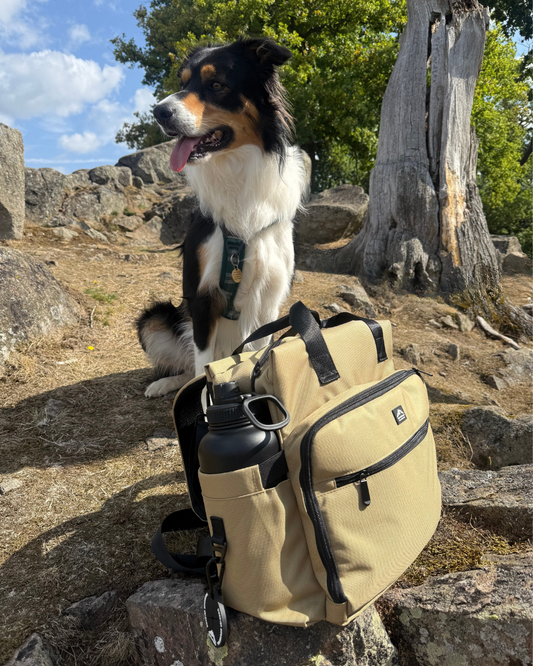 Dog sitting beside weekender travel bag, ideal for outdoor adventures and travel with your dog