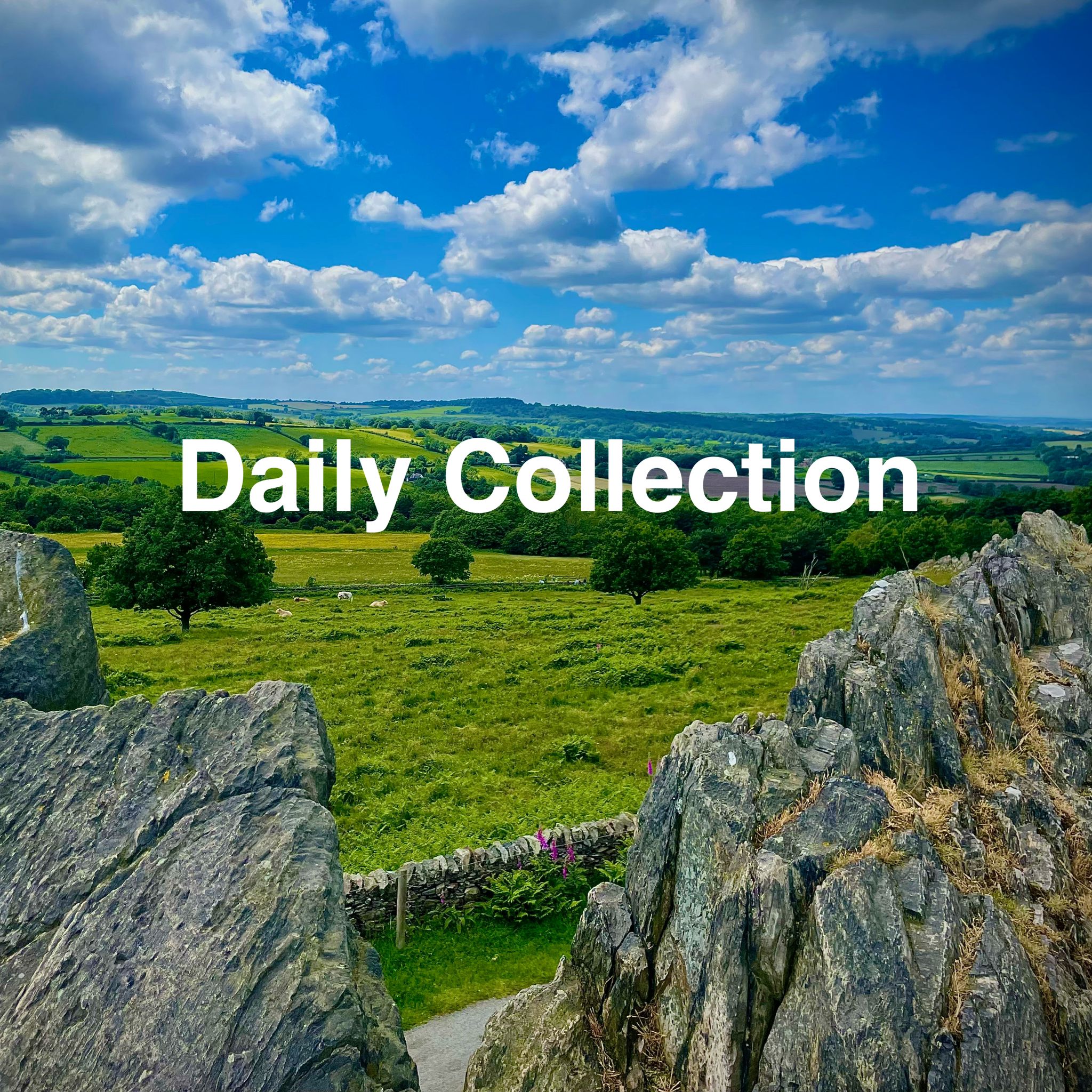 Fido's Trails HighQuality Dog Gear, Discover Explore Wag With Us.