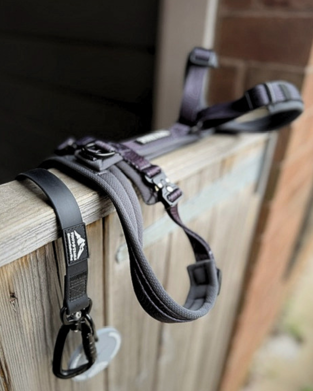 Contour Freedom Harness – Adjustable Y-Shaped Dog Harness