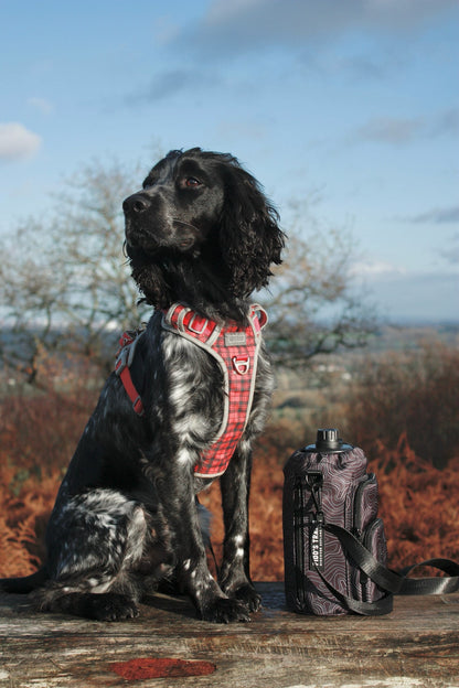Contour Trail Bottle Bag used with dog gear during outdoor walk
