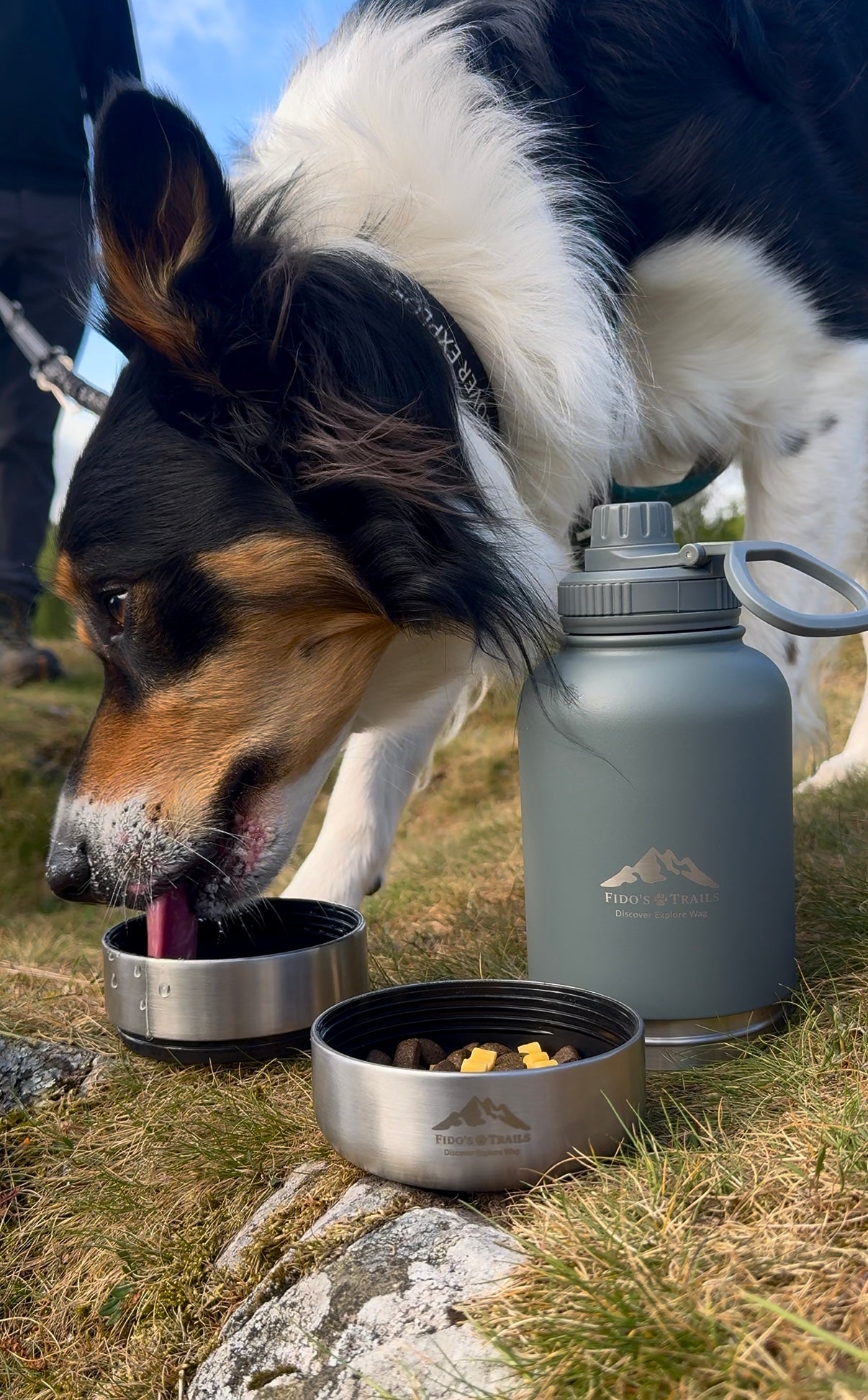 Dog drinking from detachable bowl of Mountain Grey 3-in-1 water bottle outdoors