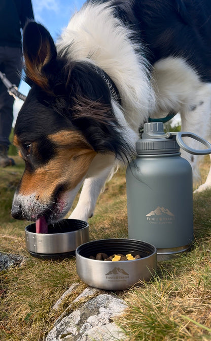 Dog drinking from detachable bowl of Mountain Grey 3-in-1 water bottle outdoors