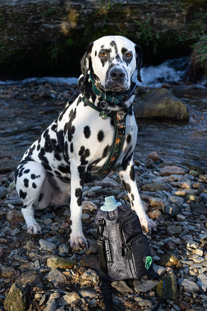 Dog sitting next to Contour Trail Bottle Bag during outdoor adventure